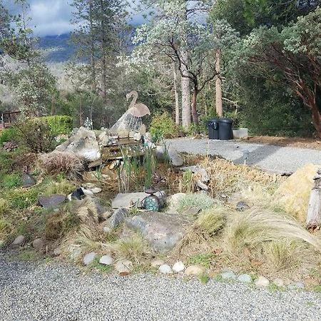 Uncle Grizz'S Cabin...Get Intouch With Nature Bass Lake Annex Exterior foto