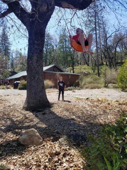Uncle Grizz'S Cabin...Get Intouch With Nature Bass Lake Annex Exterior foto
